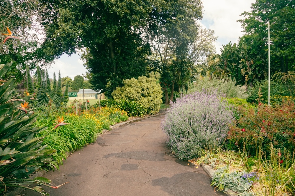 portland Photo