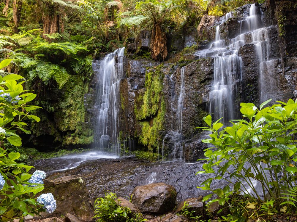 Scenic harbor and mountains near São Francisco do Sul, a new Azamara Brazil port