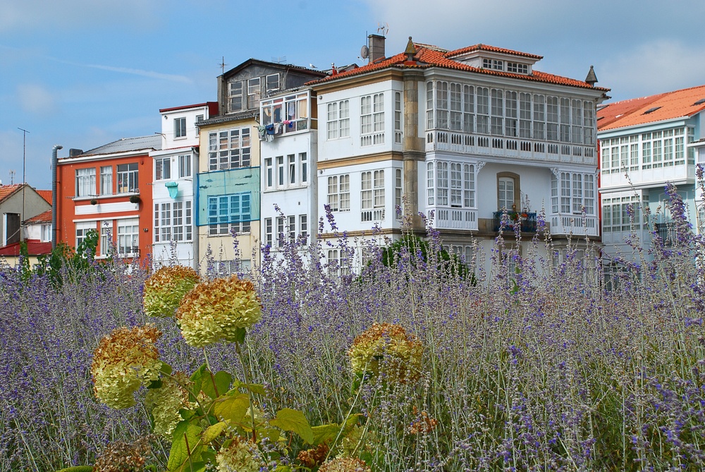 ferrol Photo