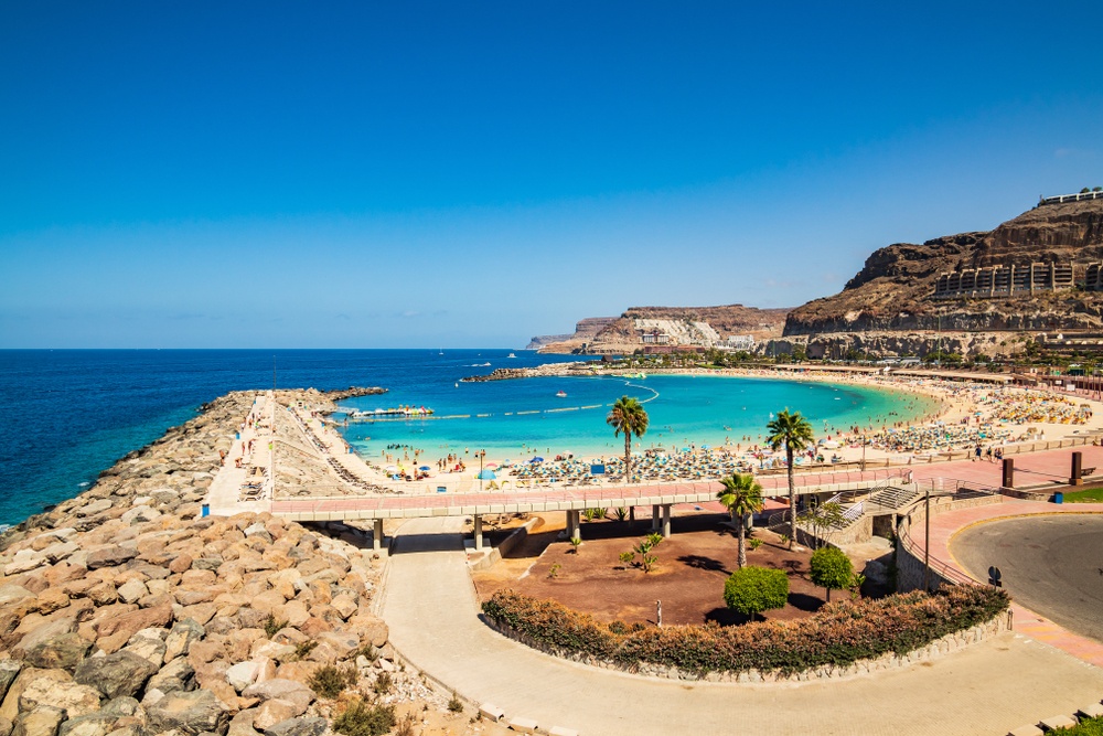 las palmas Photo