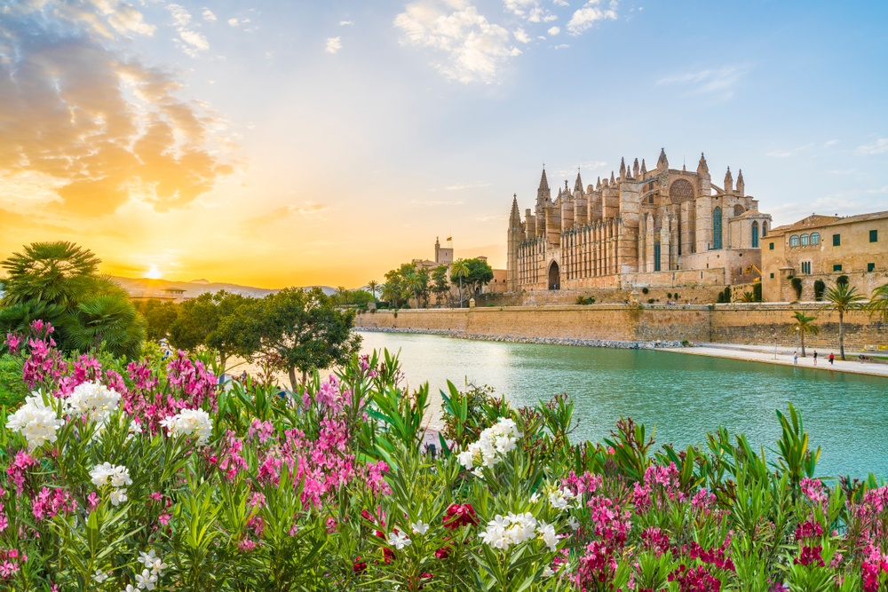 palma Photo