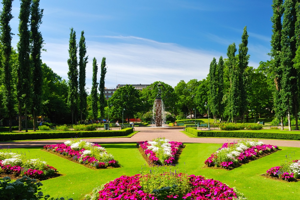 kotka Photo