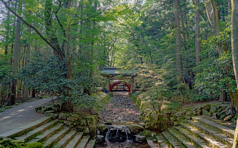niigata Photo