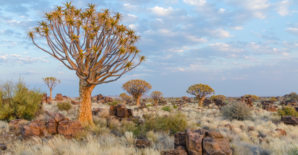 luderitz Photo