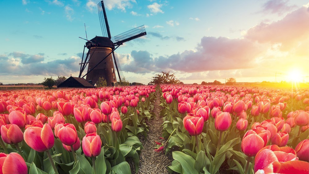 rotterdam Photo