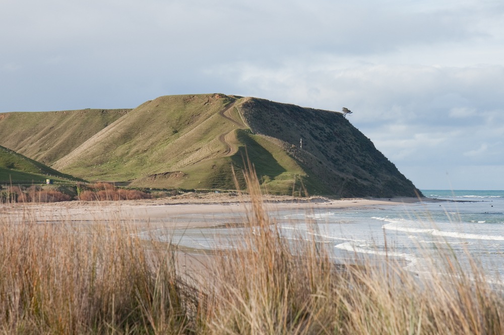 gisborne Photo
