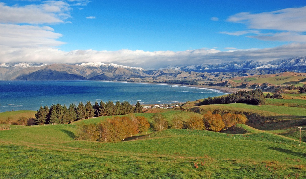 kaikoura Photo