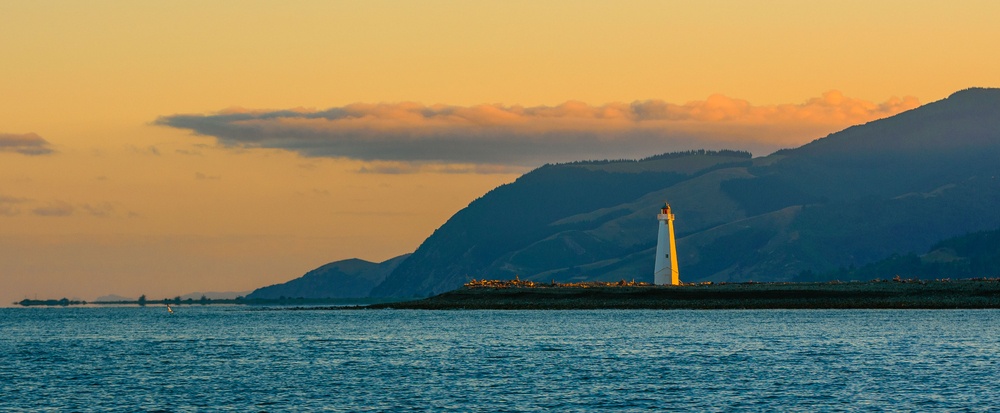 nelson Photo