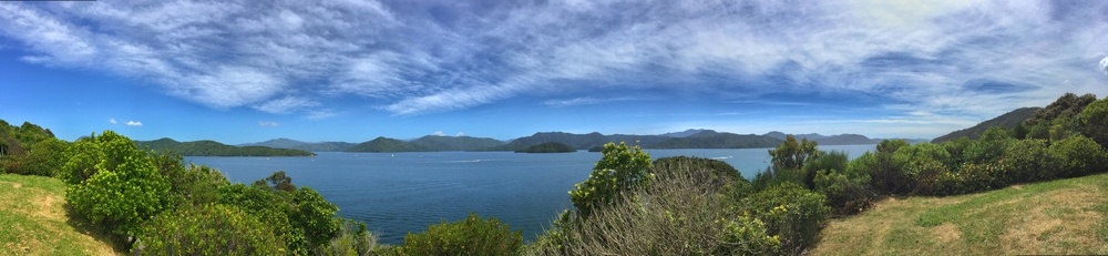 picton Photo
