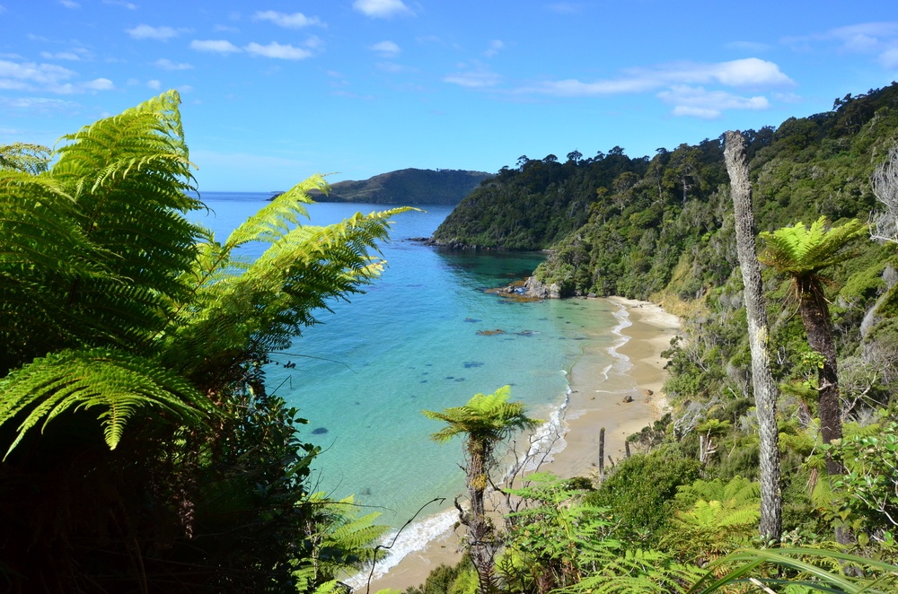 stewart island Photo