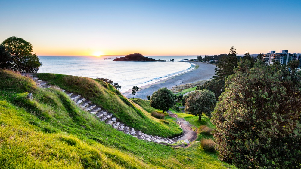 tauranga Photo