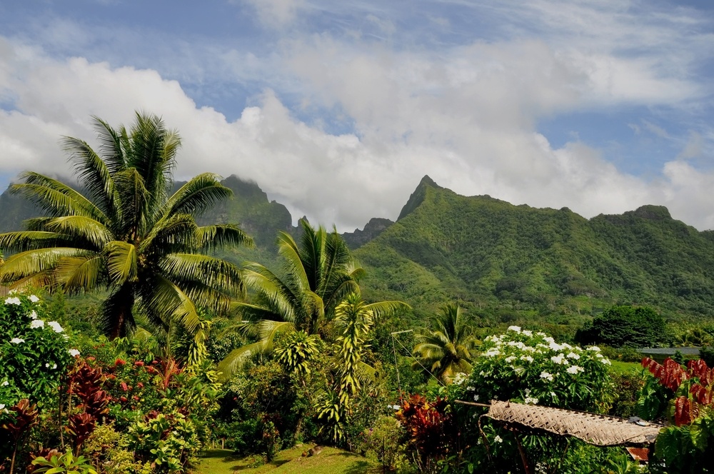 raiatea Photo