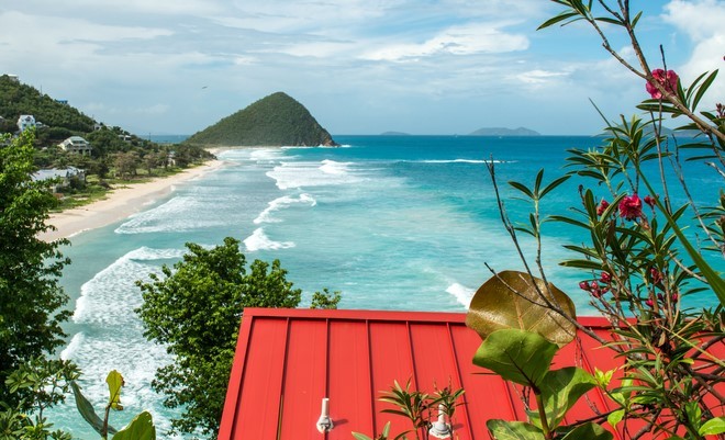 tortola Photo