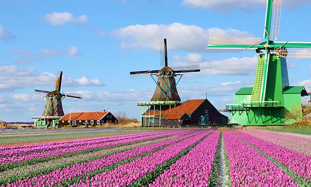 Picturesque Zaanse Shans & Airport Transfer Photo