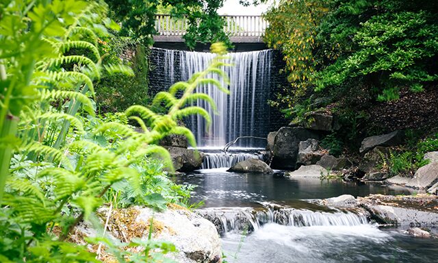 Brest Botanical Gardens Photo