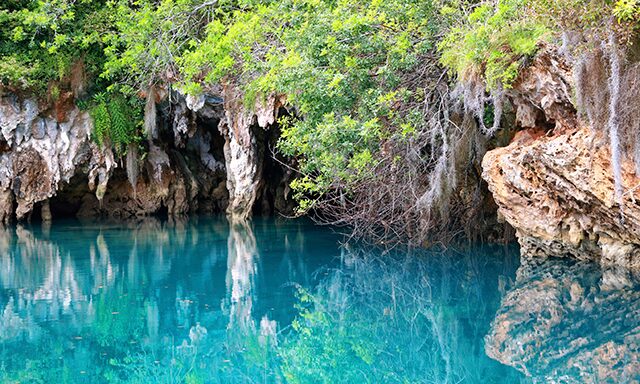 Hidden Jungle Caves and Pink Sand Snorkeling Photo