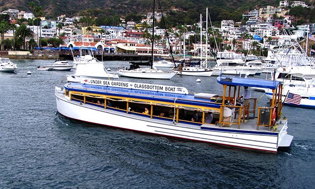 Glass-Bottom Boat Cruise Photo