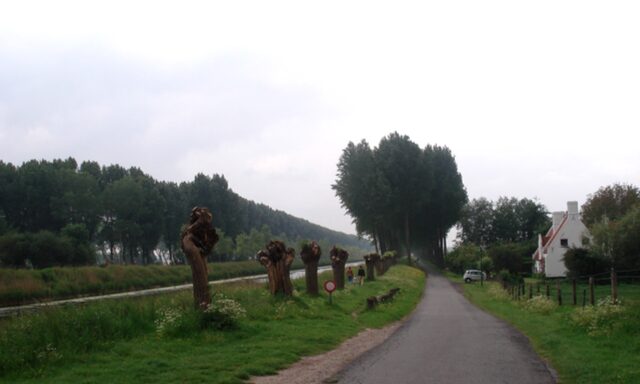 Biking to Damme Photo