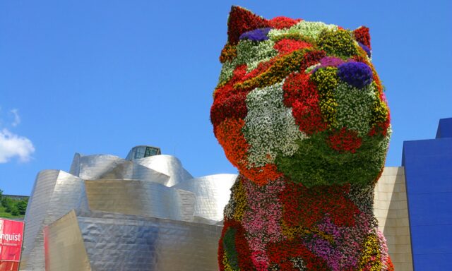 Guggenheim with an Art Aficionado Photo