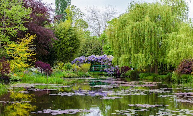 In the Footsteps of Claude Monet Photo