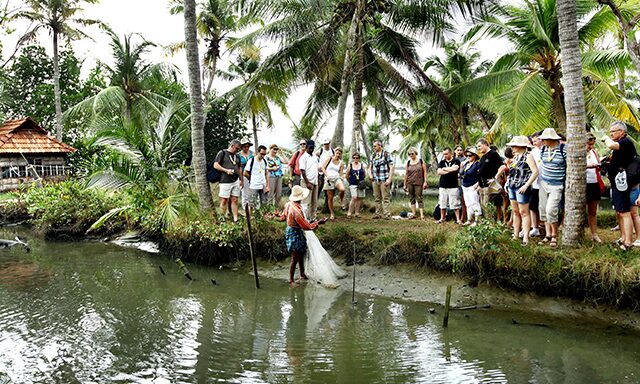 A Glimpse of Rural Kerala Photo