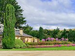 Larnach Castle and Garden with High Tea Photo