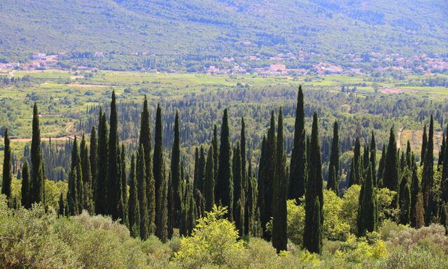 Scenic Konavle Valley Wineries by Road Train Photo