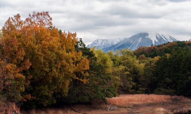 Mt. Daisen Trekking  Photo