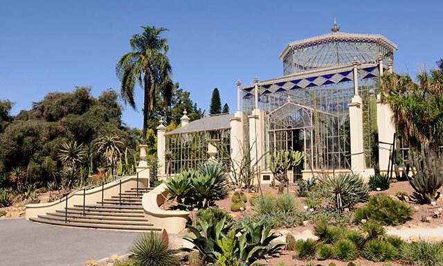 Adelaide and Botanic Gardens Photo