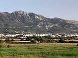 Flavors of Kos & Cooking Demonstration  Photo