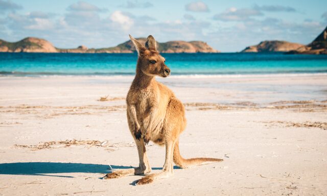 Cape Le Grand National Park Photo
