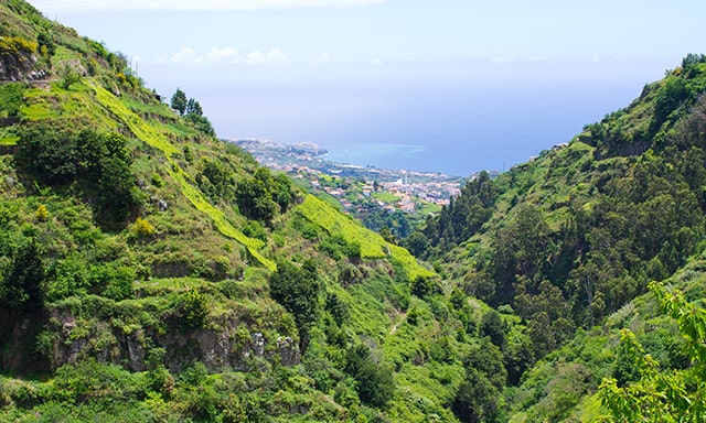 Hiking Levada do Norte Photo