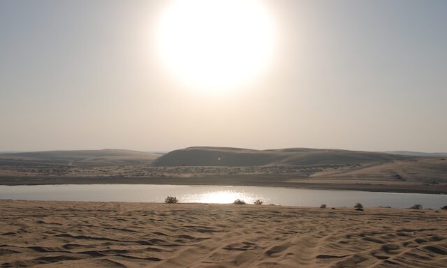Half-Day Desert Safari  Photo