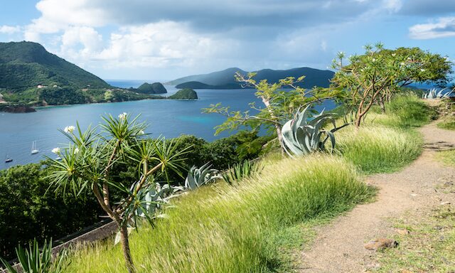 Discover Les Saintes  Photo