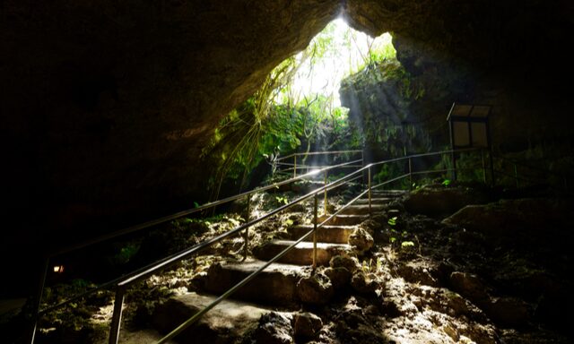 Glass-Bottomed Boat Experience and Ishigaki Stalactite Cave Photo