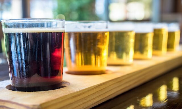 Svaneke Village and Brewhouse Experience  Photo