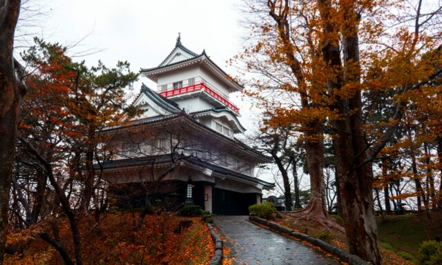 Historical Akita Photo