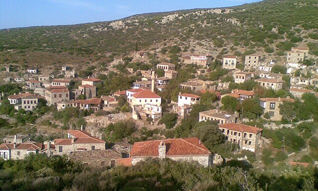 Turkish Landscapes: Wildlife, Flora and Fauna Photo