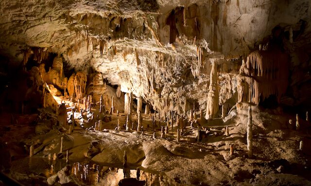 Postojna Caves Photo