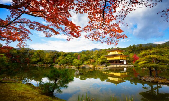 Highlights of Kyoto by Shinkansen Bullet Train Photo