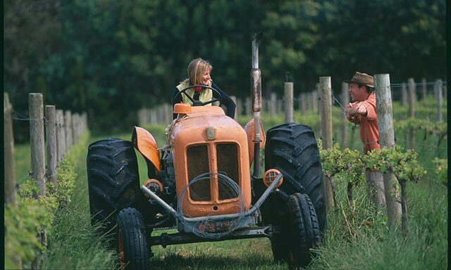 The Best of Southern Wineries Photo