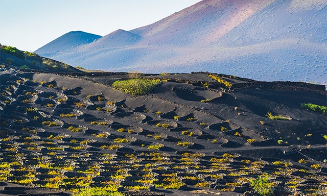 Off-Road Adventure from Mountains to Sea Photo