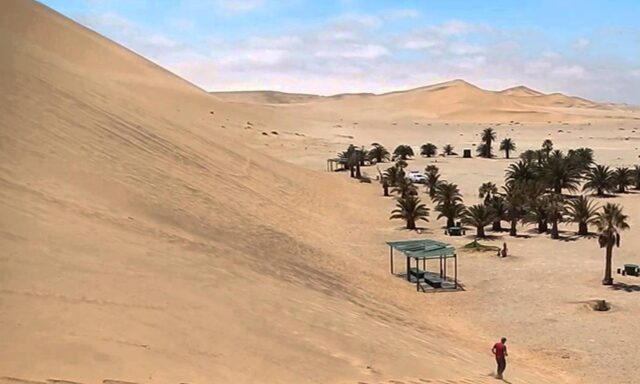 Walvis Bay Lagoon Cruise & Dunes Photo