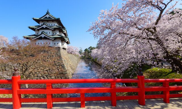 Hirosaki Castle and Neputa Village Photo