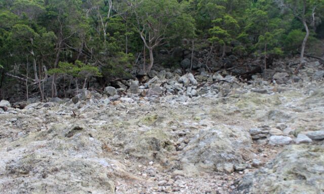 Welcome to Sabang: City Highlights Photo