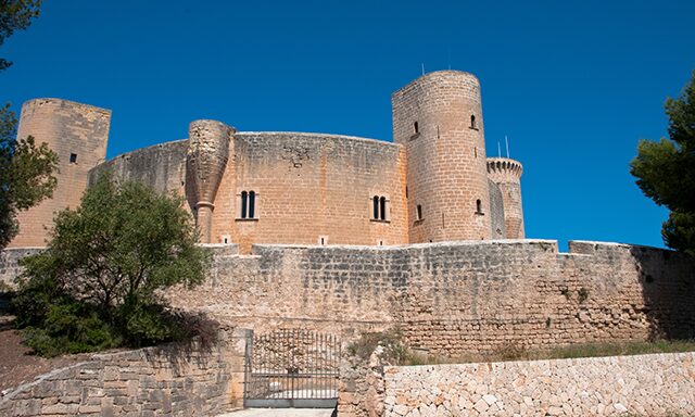 Panoramic Palma Photo