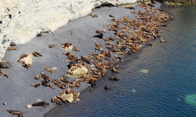 Patagonian Estancia Experience Photo