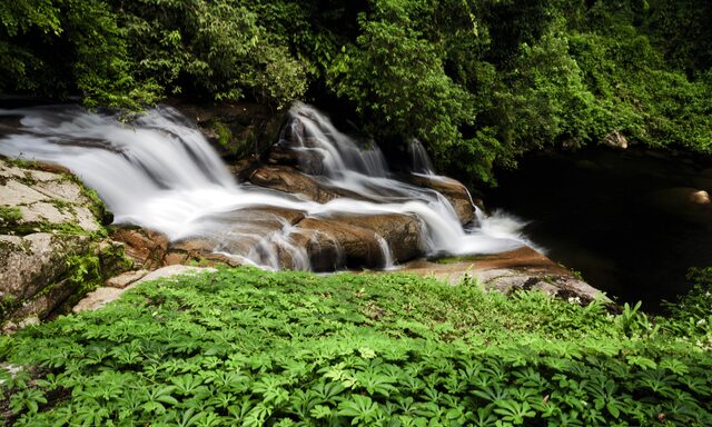 Paraty by 4x4: Waterfalls, Cachaca and Gold Trail Photo