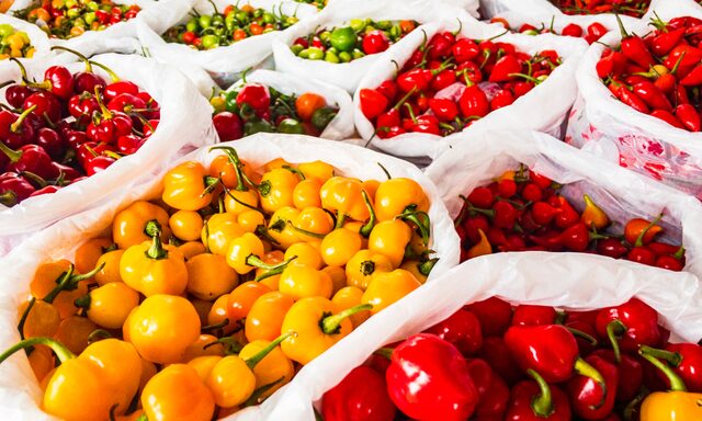 Recife Market Culture and Gastronomic Experience Photo