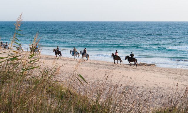 Horseback Riding Scenic Trail & Sea Photo